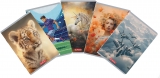Caiet A5 48 file, hartie 70g/mp FSC mix, dictando, Megamix 2,d diverse modele, Herlitz